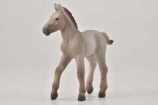 COLLECTA ŹREBIĘ BLUE DUN 3