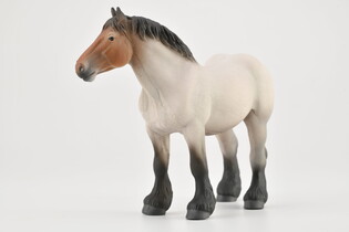 COLLECTA ŹREBIĘ BARCOCK PINTO 4