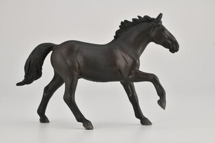 COLLECTA OGIER NONIUS 3