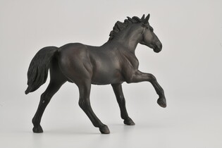 COLLECTA OGIER NONIUS 4