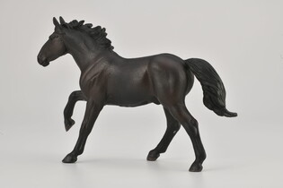 COLLECTA OGIER NONIUS 5