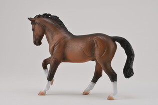 COLLECTA OGIER WARMBLOOD STALLION BAY 4