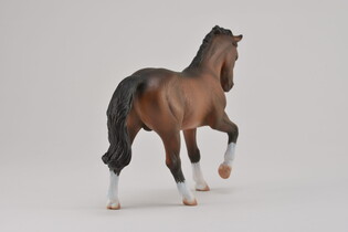 COLLECTA OGIER WARMBLOOD STALLION BAY 5