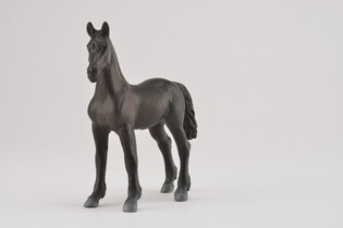 COLLECTA ŻREBIĘ FRIESIAN CZARNE 3
