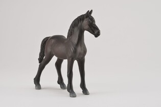 COLLECTA ŻREBIĘ FRIESIAN CZARNE 4