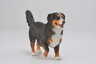 COLLECTA BERNEŃSKI PIES PASTERSKI 3