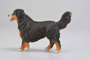 COLLECTA BERNEŃSKI PIES PASTERSKI 4