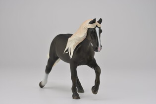 COLLECTA KLACZ RASY ROCKY MOUNTAIN 3