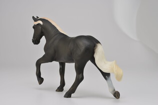COLLECTA KLACZ RASY ROCKY MOUNTAIN 5