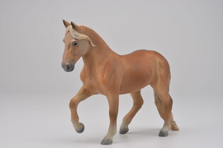 COLLECTA KLACZ RASY PASO PERUANO MAŚCI KASZTANOWATEJ 3