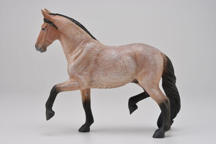 COLLECTA OGIER RASY MANGALARGA MARCHADO 3