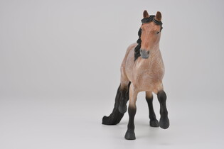 COLLECTA OGIER RASY MANGALARGA MARCHADO 4