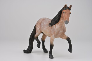COLLECTA OGIER RASY MANGALARGA MARCHADO 5