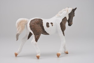 COLLECTA KLACZ RASY BASHKIR CURLY 5