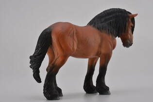 COLLECTA KOŃ ARDEŃSKI MAŚCI GNIADEJ 5