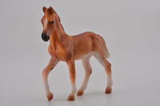 COLLECTA ŹREBIĘ PERUWIAŃSKI PASO MAŚCI KASZTANOWATEJ 3
