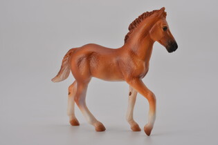 COLLECTA ŹREBIĘ PERUWIAŃSKI PASO MAŚCI KASZTANOWATEJ 4