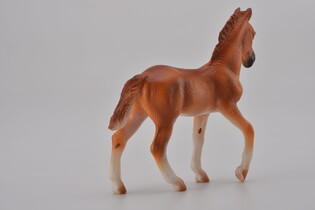 COLLECTA ŹREBIĘ PERUWIAŃSKI PASO MAŚCI KASZTANOWATEJ 5