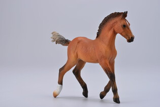 COLLECTA ŹREBIĘ RASY HANOWERSKIEJ 3