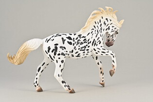 COLLECTA KLACZ RASY KNABSTRUP KARA 3