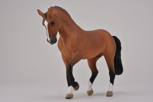 COLLECTA KLACZ RASY HANOWERSKI GNIADA 3