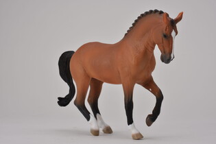 COLLECTA KLACZ RASY HANOWERSKI GNIADA 4
