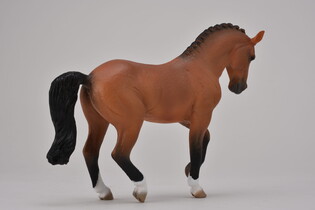 COLLECTA KLACZ RASY HANOWERSKI GNIADA 5