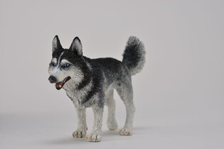 COLLECTA SYBERYJSKI HUSKY 3