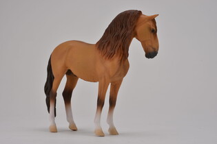 COLLECTA KOŃ CAMPOLINA STALLION RED DUN 4