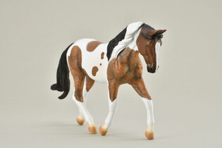 COLLECTA KOŃ PINTO MARE GNIADY 3