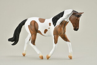 COLLECTA KOŃ PINTO MARE GNIADY 4