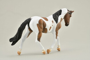 COLLECTA KOŃ PINTO MARE GNIADY 5
