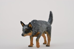 COLLECTA PIES AUSTRALIAN CATTLE 4