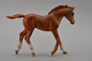 COLLECTA ŹREBIĘ IDĄCE THOROUGHBRED CHESNUT 4