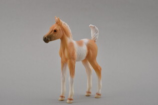 COLLECTA ŹREBIE PINTO PALOMINO STOJĄCE 3