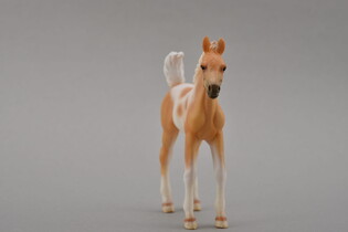 COLLECTA ŹREBIE PINTO PALOMINO STOJĄCE 4
