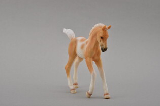 COLLECTA ŹREBIE IDĄCE PINTO PALOMINO 3
