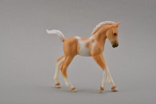 COLLECTA ŹREBIE IDĄCE PINTO PALOMINO 4