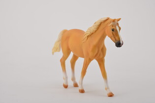COLLECTA KLACZ RASY MISSOURI FOX TROTTER 3