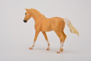 COLLECTA KLACZ RASY MISSOURI FOX TROTTER 5