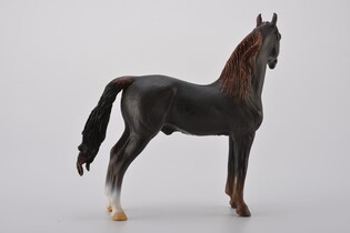COLLECTA OGIER MORGAN STALLION MAŚCI KASZTANOWEJ 4