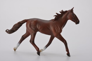 COLLECTA OGIER STANDARDBRED PACER KASZTANOWY 4