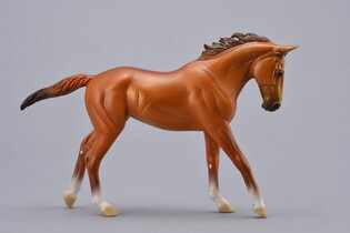 COLLECTA KLACZ RASY THOROUGHBRED MAŚCI CHESTNUT SKALA 1:12 W OPAKOWANIU (DELUXE). 6