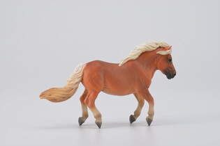 COLLECTA ŹREBIĘ SHETLAND MAŚCI KASZTANOWATEJ 5