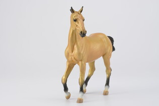 COLLECTA KLACZ AKHAL TEKE BUCKSKIN 3