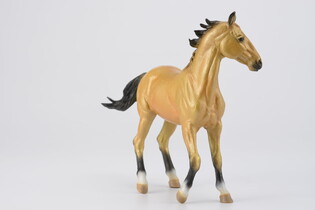 COLLECTA KLACZ AKHAL TEKE BUCKSKIN 4