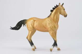 COLLECTA KLACZ AKHAL TEKE BUCKSKIN 5