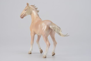 COLLECTA  OGIER AKHAL-TEKE PERLINO 4