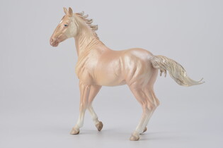 COLLECTA  OGIER AKHAL-TEKE PERLINO 5