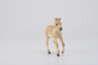 COLLECTA ŹREBIĘ FJOORD BROWN DUN 4